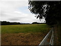 Farmland at Leys Home Farm