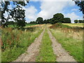 Track between arable fields near Kirktonhill