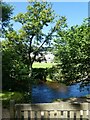 Seat overlooking River Bovey, Mill Marsh Park