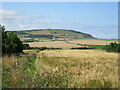 Near Staithes