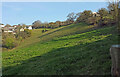 Hillside by Old Mill Lane