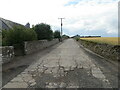 Track at Cotton of Arbikie