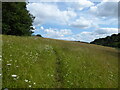 SP8500 : Path up a summer meadow near Prestwood by Jeremy Bolwell