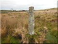 SX1675 : Estate Boundary Marker in the valley between Brockabarrow Common and Sprey Moor by P G Moore