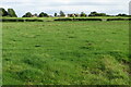 SP2227 : Pasture towards Evenlode Grounds by Philip Jeffrey