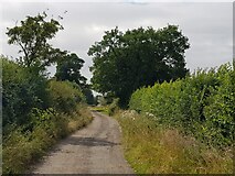 SO8148 : Lane to Upper Woodsfield Farm by Jeff Gogarty
