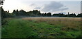 Mist on Windermere Road Playing Field