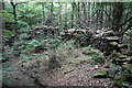 SK3367 : The remains of a wall in Corporation Wood by Bill Boaden