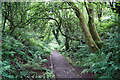 Path within Barrmill Gardens