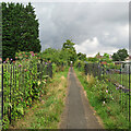 TL4655 : Between allotments by John Sutton