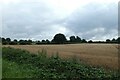 Farmland north of Long Lane