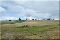 SE4735 : Farmland north of Coldhill Lane by DS Pugh