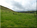 Scene below Cefn Gwyn