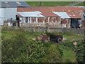 Corrugated iron sheds at Belan-ddu