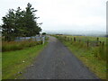 Track with sheep pens