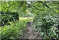 Bridleway at Selham Common