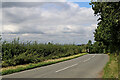 Trimpley Lane south of Shatterford, Worcestershire