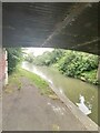 Bridge 85 (Grand Union Canal)