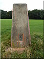 Closer look at Triangulation Pillar at Aston Hill