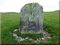 SO0196 : Remains of a standing stone near Llyn y Tarw by Jeremy Bolwell