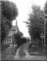 SX8965 : Track from Collaton Road, Shiphay by Derek Harper
