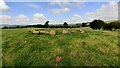 Stone circle in field NW of Glassonby