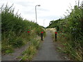 Cycle path on an old alignment of the A44