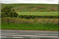 Fields to the west of the A1 near  Brownieside