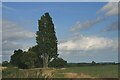 Footpath at Parklands Farm