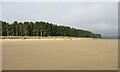 NO4928 : Tentsmuir Point by Scott Cormie