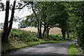 Trimpley Lane south of Shatterford, Worcestershire