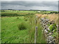 Princetown - Moorland