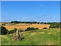 The view from Micklebarrow Hill