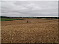 Trig pillar and view from Sandlands Farm