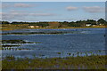 TM4357 : Hazlewood Marshes, from the path to the Eric Hosking Hide by Christopher Hilton