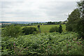 Farmland below Birchen Edge