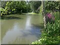 The pond in Springfield Park