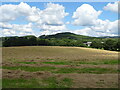 Cut silage field near Woodfield Farm