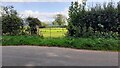 Field gateway on SE side of minor road opposite Newrough Wood