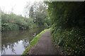 Stratford-upon-Avon Canal towards bridge #8