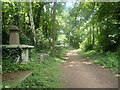 Path in Abney Park Cemetery