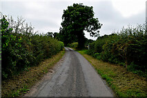 H4276 : Rash Road, Mountjoy Forest West Division by Kenneth  Allen