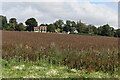 View across bean field toward Garston House