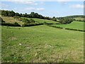 Farmland in the Leadon valley