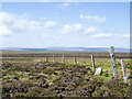 NY8913 : Fence line crossing Beldoo Hill by Trevor Littlewood