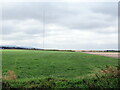 Disused airfield at Throckmorton from Long Lane