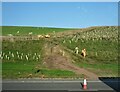 A9 embankment at Bankfoot