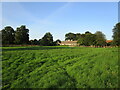 Grass field between church and village, Bloxholm