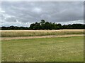 Approach to Chesterford Research Park