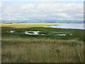 NT1599 : Wetland at Loch Leven National Nature Reserve by Scott Cormie